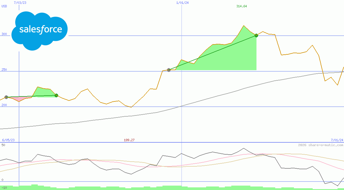 salesforce.com inc