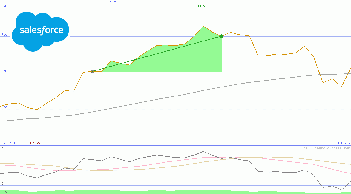 salesforce.com inc
