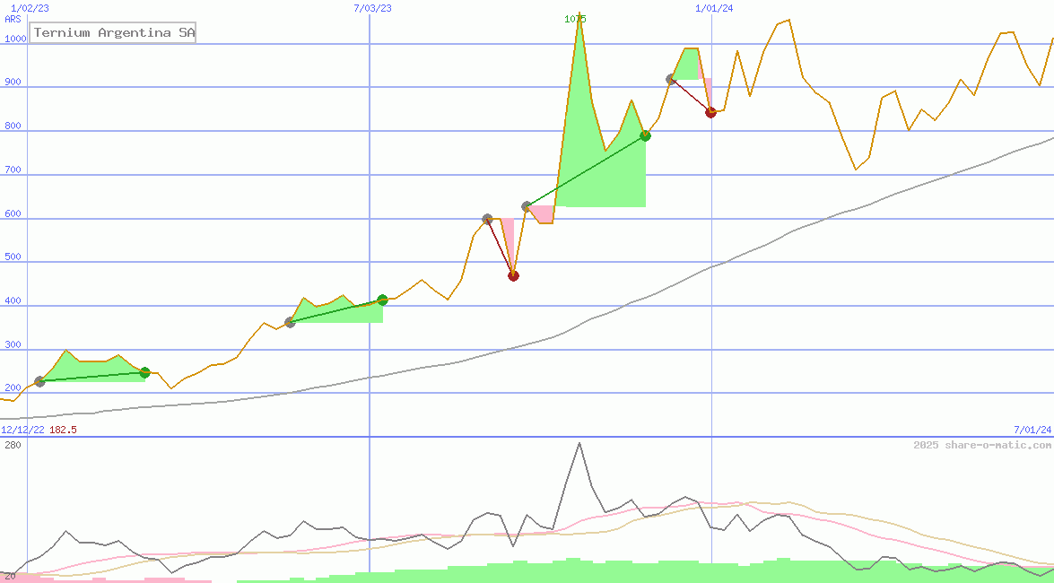 Ternium Argentina SA