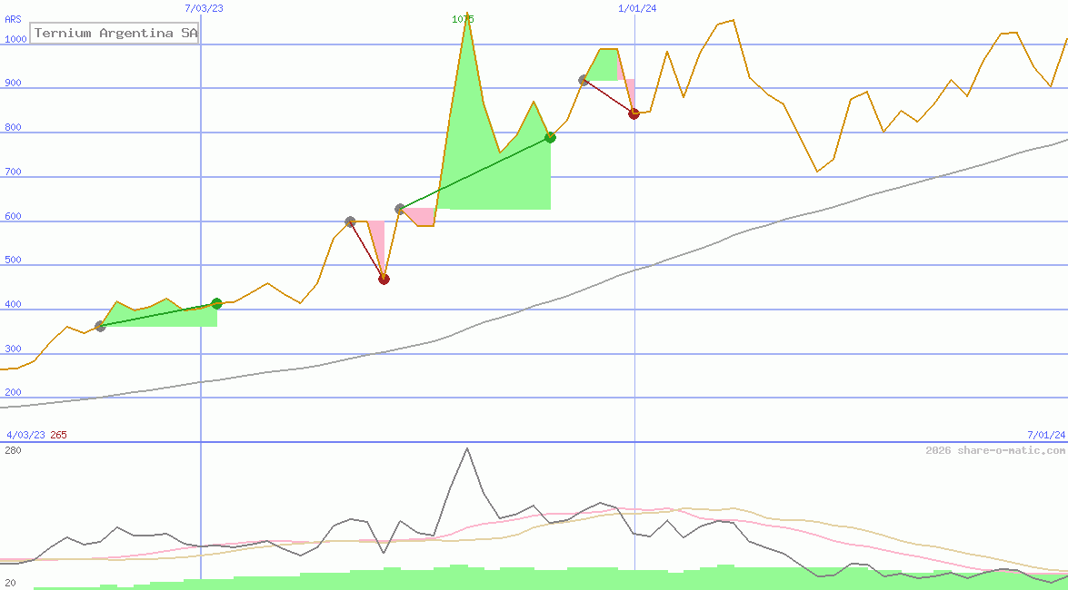 Ternium Argentina SA