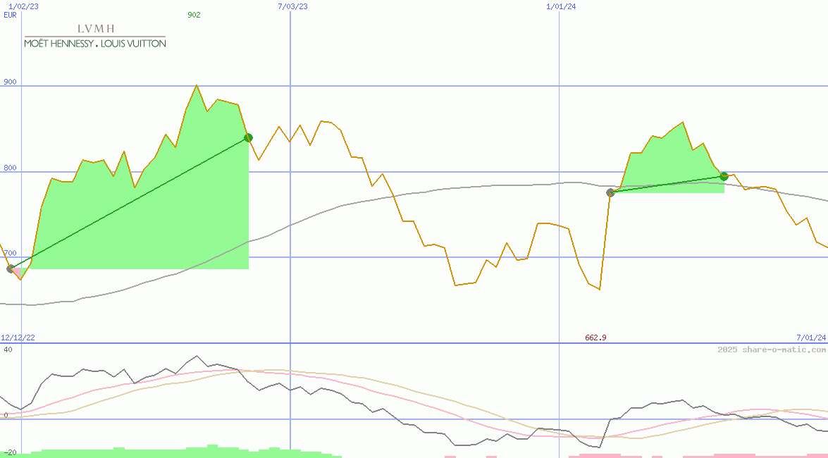LVMH Moet Hennessy-Louis Vuitton