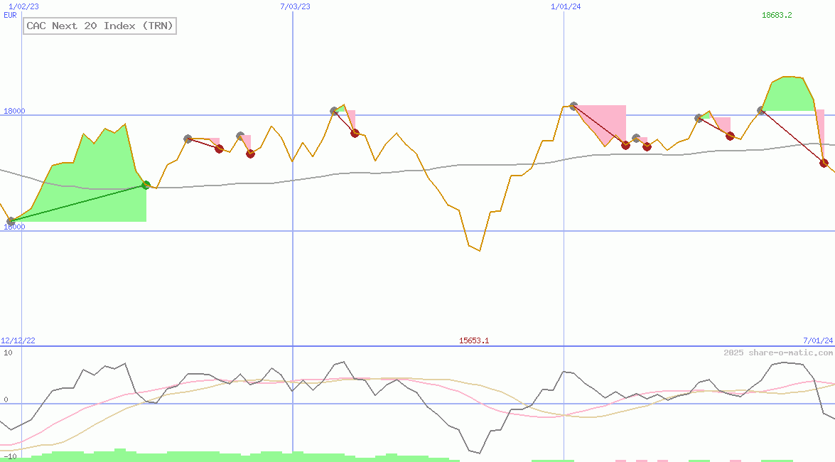 CAC Next 20 Index (TRN)