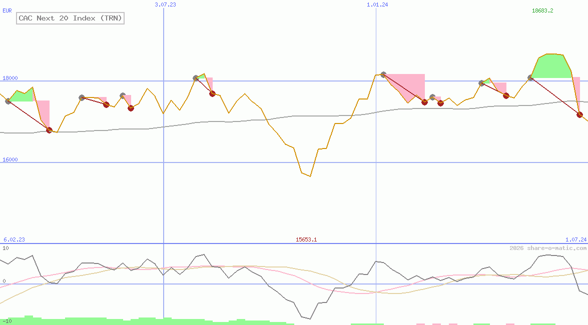 CAC Next 20 Index (TRN)