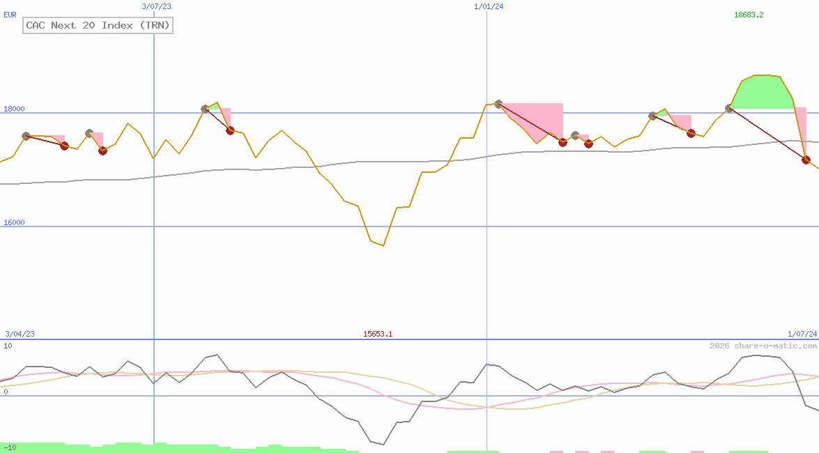 CAC Next 20 Index (TRN)
