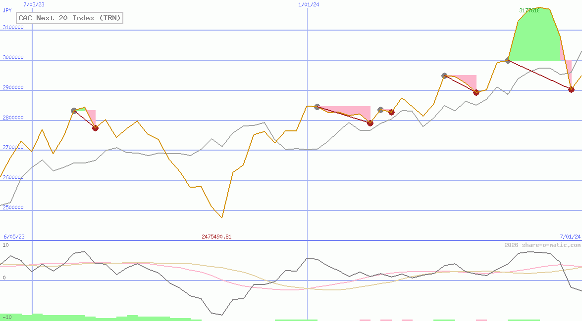 CAC Next 20 Index (TRN)