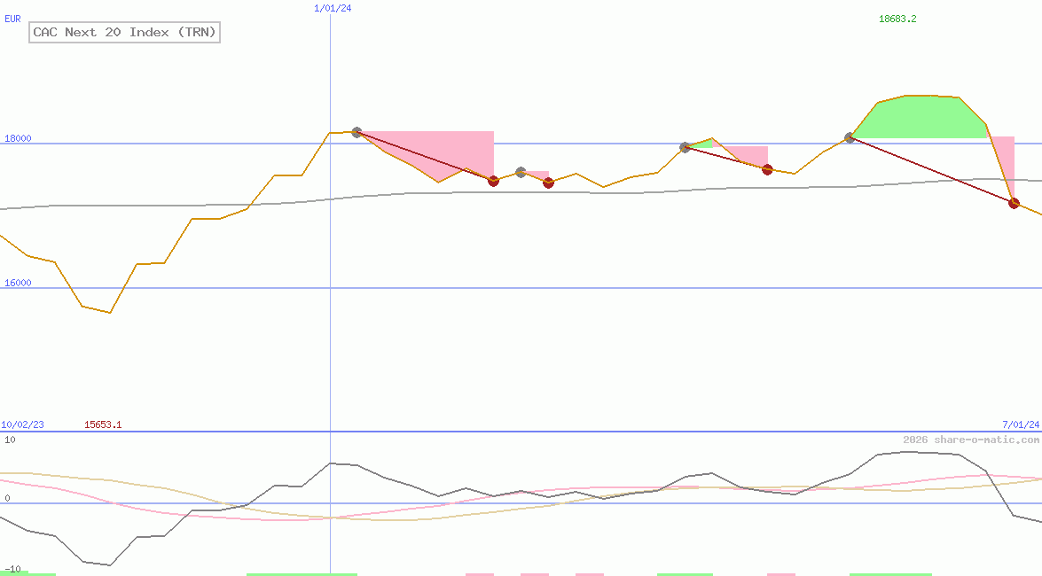 CAC Next 20 Index (TRN)